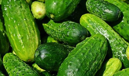 吃瓜菜对身体好吗,揭秘其对身体的神奇益处