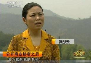 台湾军官吃瓜,揭秘军中“小确幸”背后的争议与反思