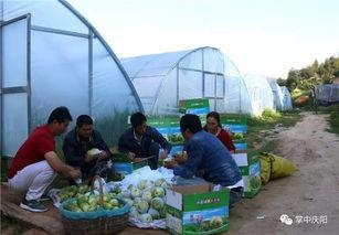 重坊吃瓜,揭秘娱乐圈背后的那些事儿