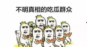 上阵父子吃瓜,共享瓜田欢乐时光