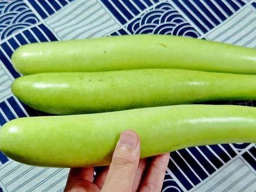 瓠子瓜咋削皮吃,揭秘削皮与直接食用的美味选择