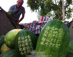 郑州七院吃瓜,揭秘背后真相与争议