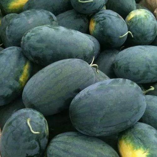 杜集区吃瓜,瓜果飘香，品味生活新篇章